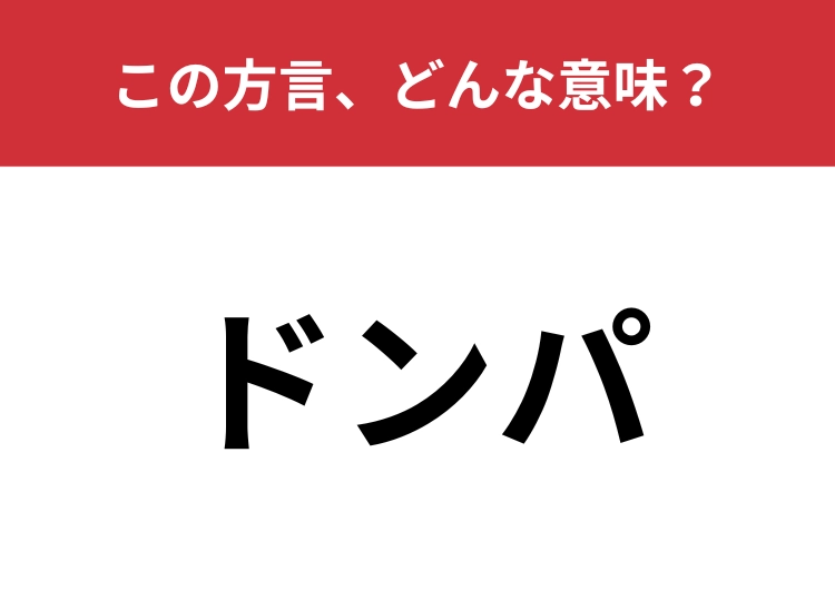 【方言クイズ・北海道編】「ドンパ」はどんな意味？