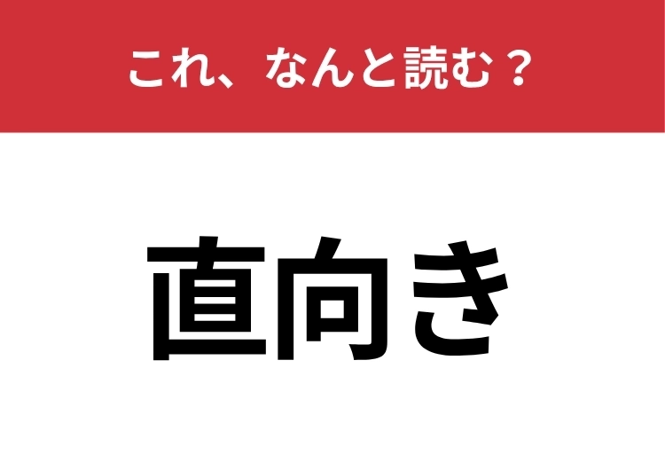 【直向き】はなんと読む?「ちょく」じゃない読み方って知ってる?のメイン画像