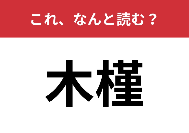 【木槿】はなんと読む？庭木としても愛される植物！のメイン画像