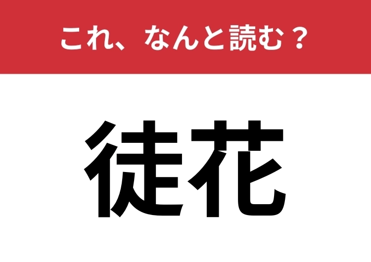 【徒花】はなんと読む？切なくて美しい意味を持つ言葉！のメイン画像