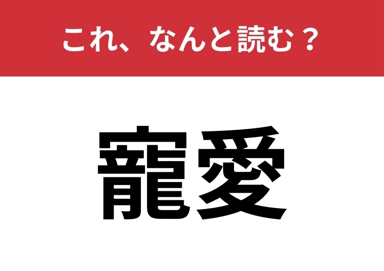 【寵愛】はなんと読む？大人ならサラッと読みたい！のメイン画像