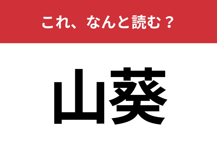 【山葵】はなんと読む？日本の調味料として有名なアレ！