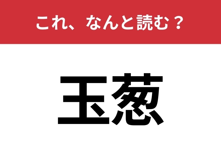 【玉葱】はなんと読む？これがないと料理が成り立たない！のメイン画像