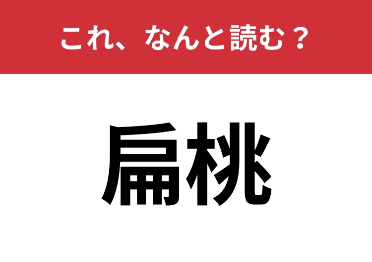 【扁桃】はなんと読む？間違えずに読みたい二文字！のメイン画像