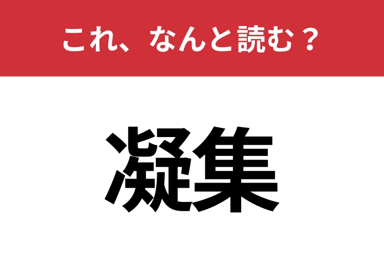 【凝集】はなんと読む？大人なら読みたい！のメイン画像