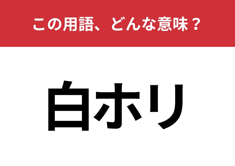 【業界用語クイズ】「白ホリ」はどんな意味？知っている人はかなり少ない！？