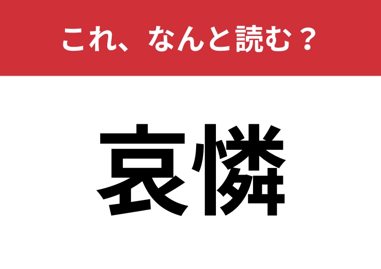 【哀憐】はなんと読む？「同情」を難しく言うと？