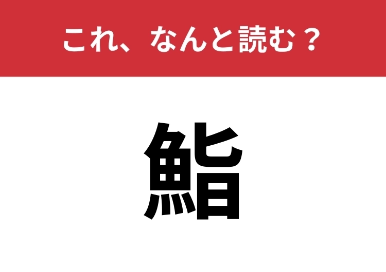 【鮨】はなんと読む?違う表し方なら知っているかも?のメイン画像