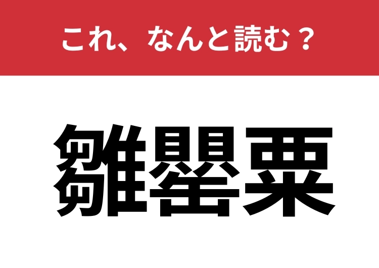 【雛罌粟】はなんと読む?見た目からは想像しにくい植物名のメイン画像