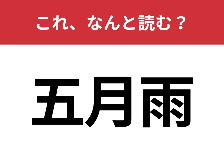 【五月雨】はなんと読む？梅雨の他の言い方です！のメイン画像