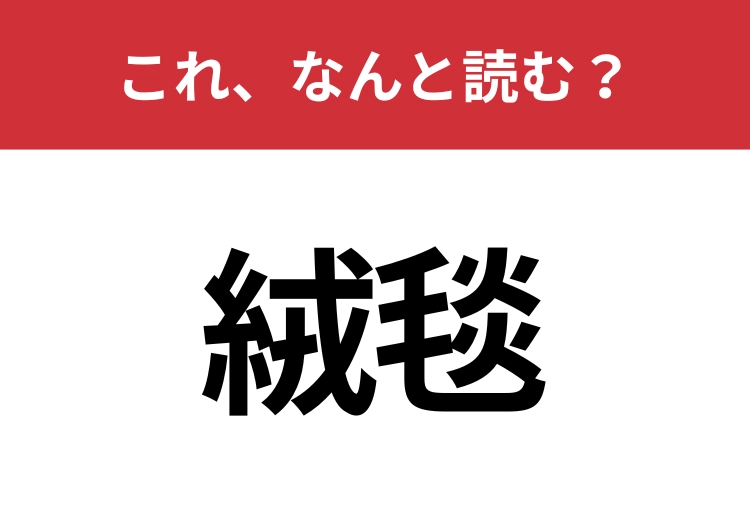【絨毯】はなんと読む？間違えずに読みたい二文字！のメイン画像