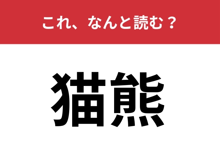 【猫熊】はなんと読む？ヒントは動物園の人気者です
