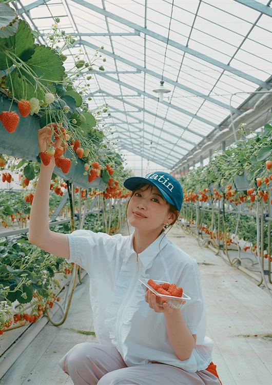 岸井農園 宮田聡子 いちご狩り
