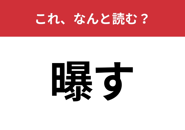【曝す】はなんと読む？物事を公にすることを指す難読漢字！