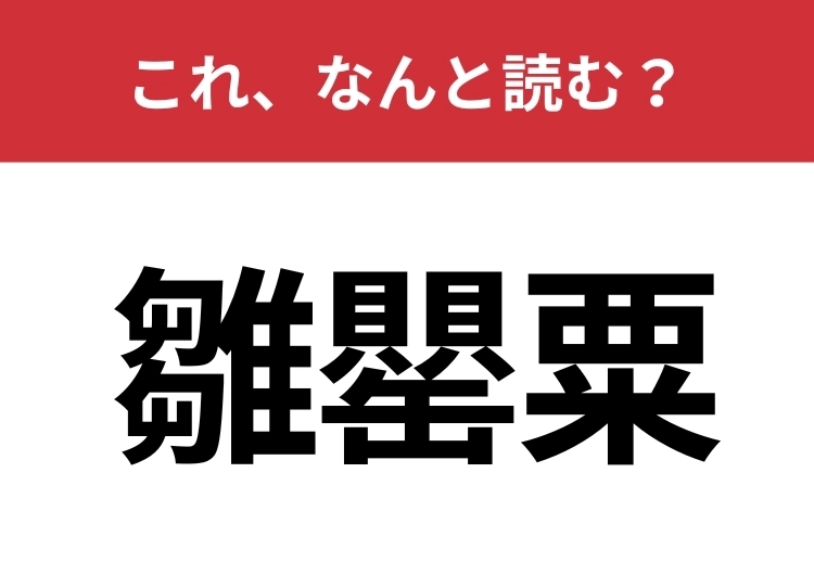 【雛罌粟】はなんと読む？見た目からは想像しにくい植物名のメイン画像