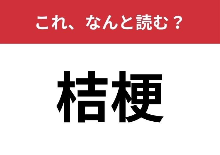 【桔梗】はなんと読む？花の漢字に詳しくなりましょう！のメイン画像