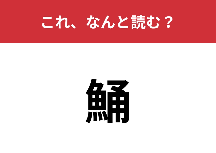 【鯒】はなんと読む？夏が旬の魚の名前！のメイン画像