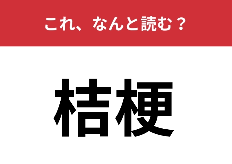 【桔梗】はなんと読む？夏から秋にかけて咲く花の名前です！