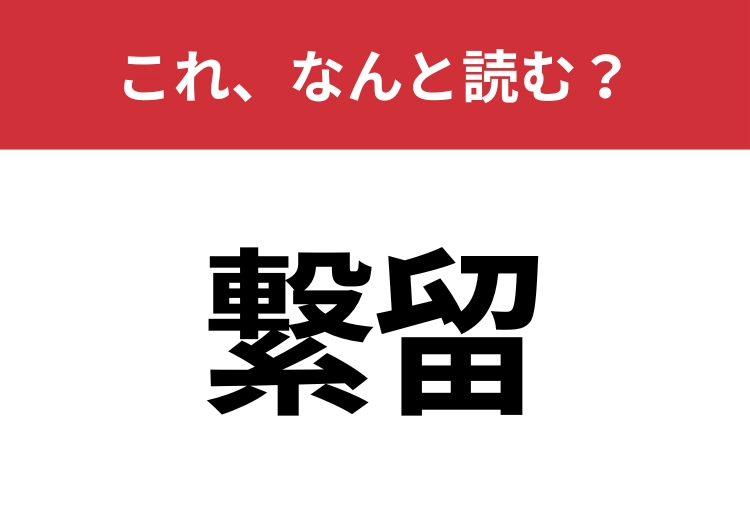 【繋留】はなんと読む？さらっと使えるとハナタカ！のメイン画像