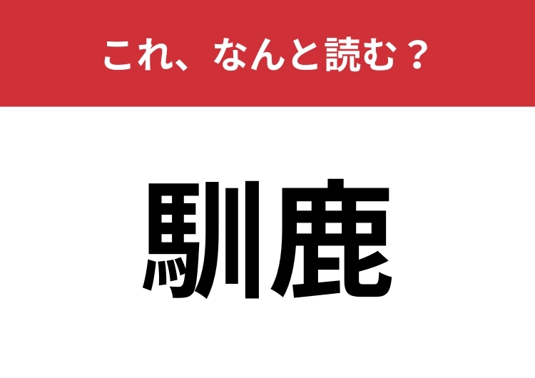 【馴鹿】はなんと読む？大きな角がある動物です！