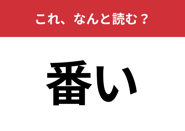 【番い】はなんと読む？正しく読めている人は少ないかも？