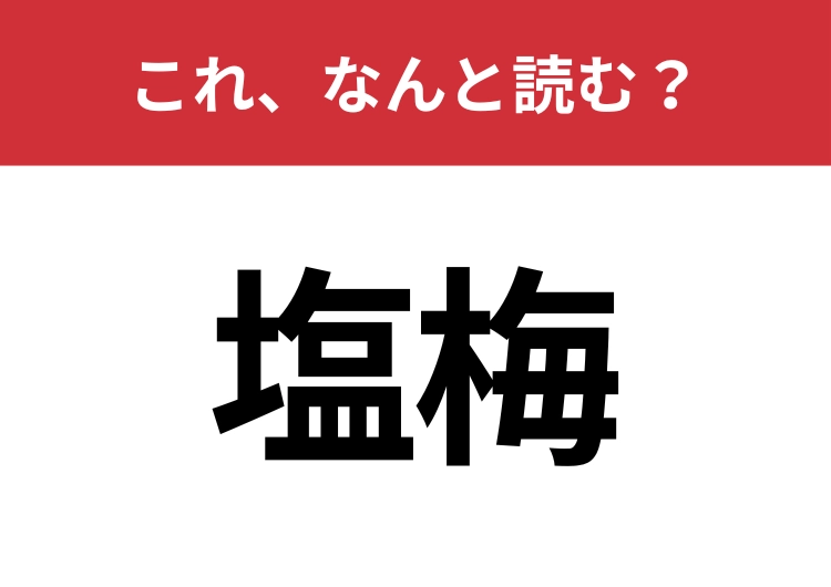 【塩梅】はなんと読む？「塩」の読み方が重要！
