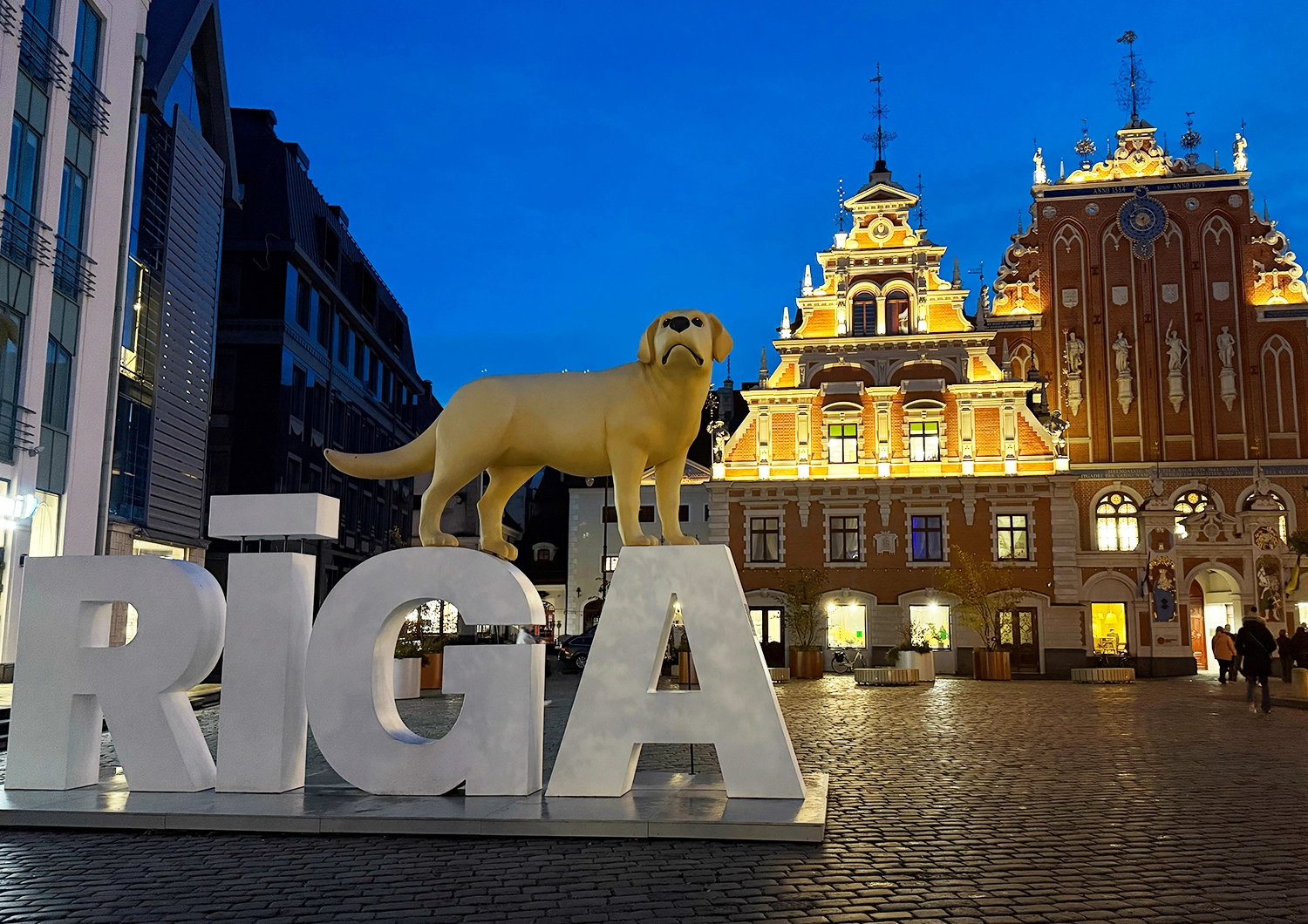 まだ知らないヨーロッパ北部の穴場・ラトビアへ！大人女子の心をほどく〝静かな贅沢〟を巡るリトリート旅