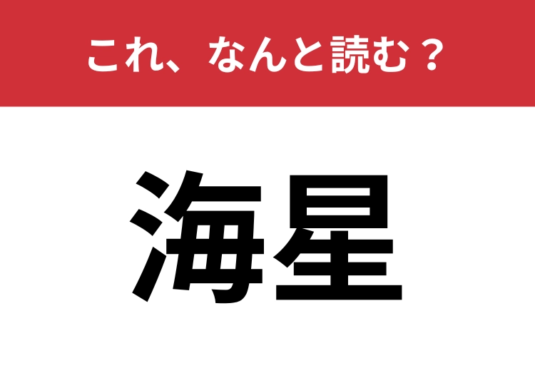 【海星】はなんと読む?これは簡単に読めて欲しい!のメイン画像