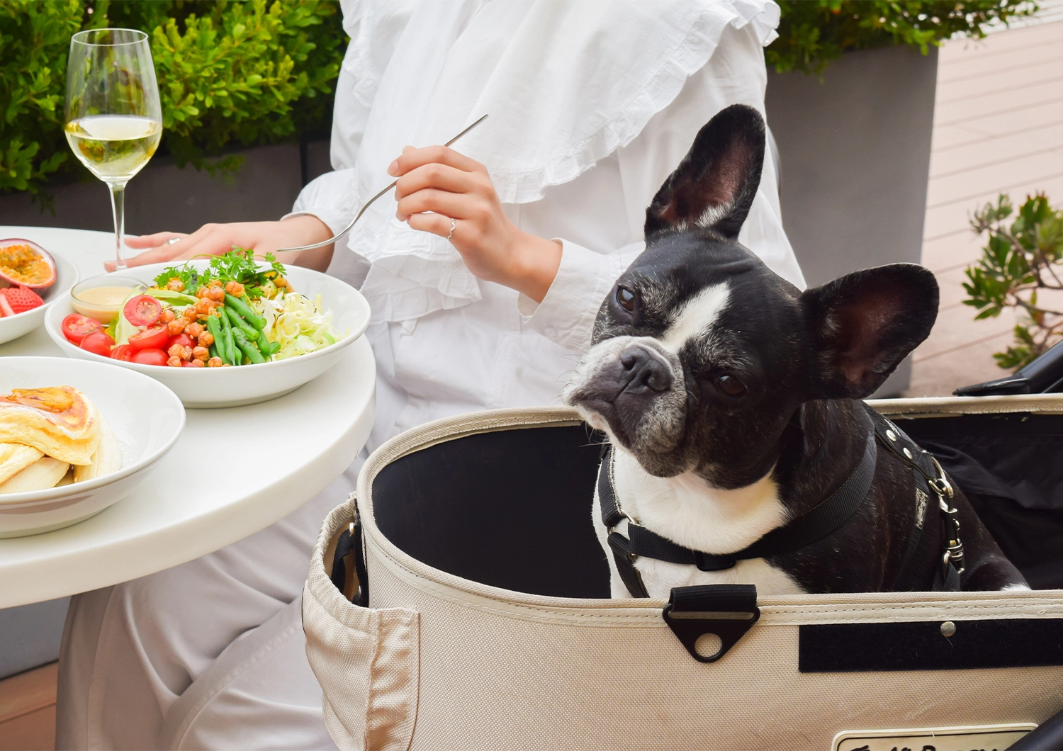 ペットと一緒に店内OK!愛犬と朝から夜まで楽しめるbillsの新しいおでかけスタイルのメイン画像