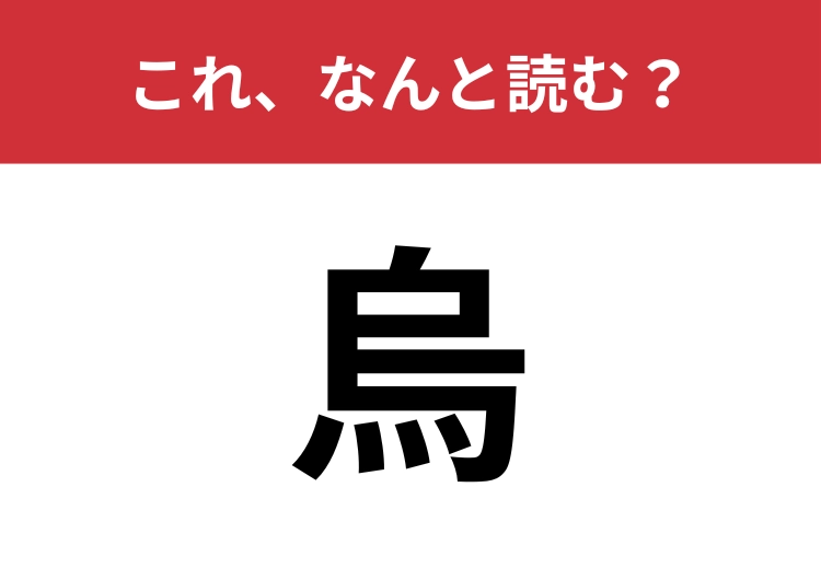 【烏】はなんと読む？「鳥」じゃないですよ！
