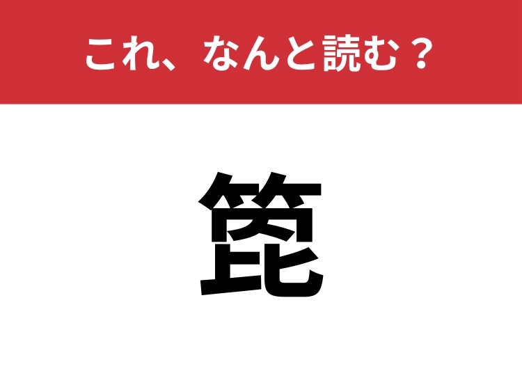 【箆】はなんと読む？マルチに使えるあの道具！のメイン画像