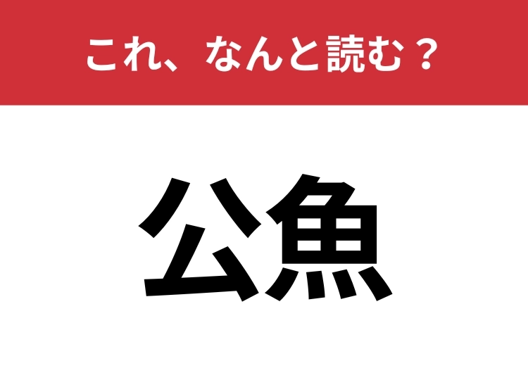 【公魚】はなんと読む？「こうぎょ」はもちろん違います！のメイン画像