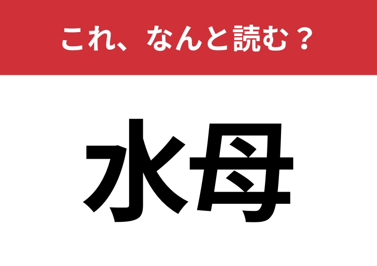 【水母】はなんと読む？水族館で人気のあの生き物！