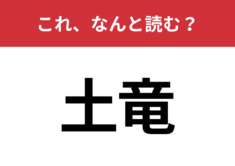 【土竜】はなんと読む？ある動物の名前！のメイン画像