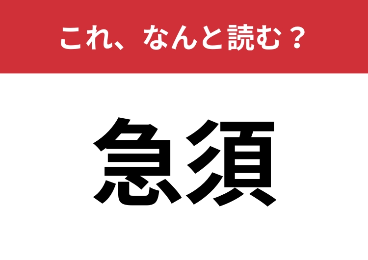 【急須】はなんと読む？大人なら絶対読めたい常用漢字！のメイン画像