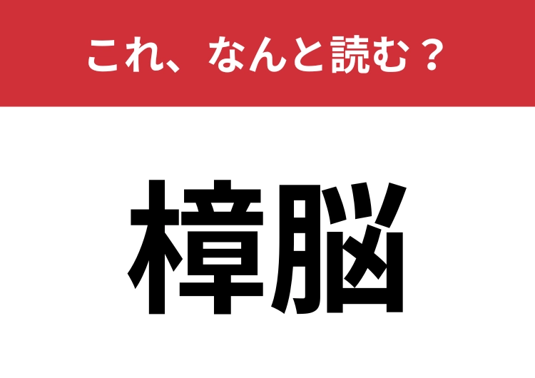 【樟脳】はなんと読む？読めたらハナタカ！