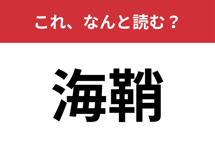 【海鞘】はなんと読む？独特な見た目の海の生き物！のメイン画像