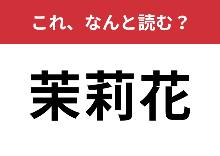 【茉莉花】はなんと読む?意外と身近な植物の名前!のメイン画像