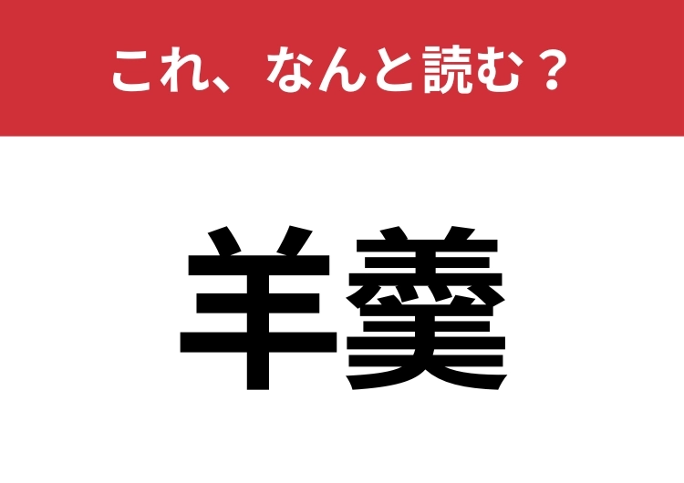 【羊羹】はなんと読む？お菓子の定番！のメイン画像