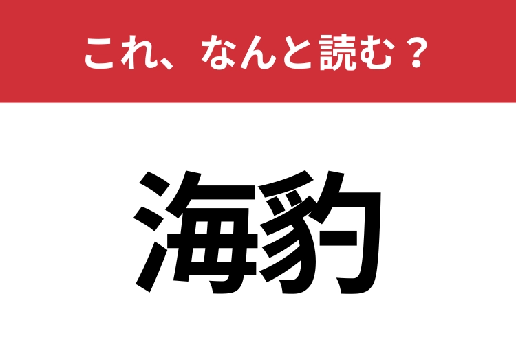 【海豹】はなんと読む？「ヒョウ」のイメージとは違って可愛い動物の名前です！のメイン画像