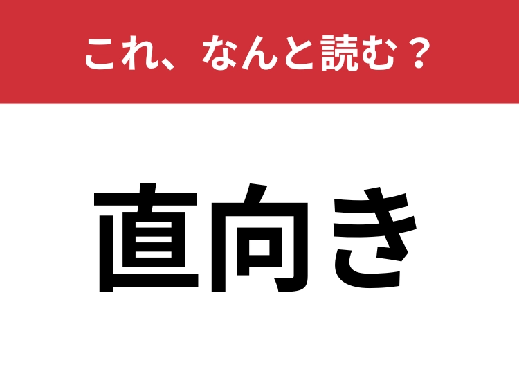 【直向き】はなんと読む？「ちょくむき」は間違いです！