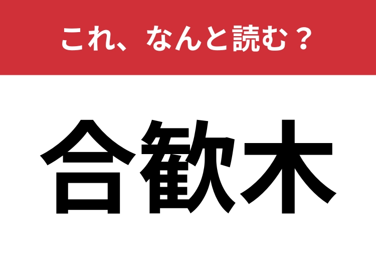 【合歓木】はなんと読む？植物漢字博士になりましょう！のメイン画像