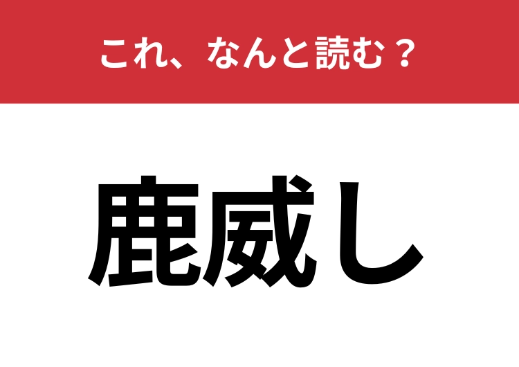 【鹿威し】はなんと読む？庭園の風情を演出しているもの！のメイン画像