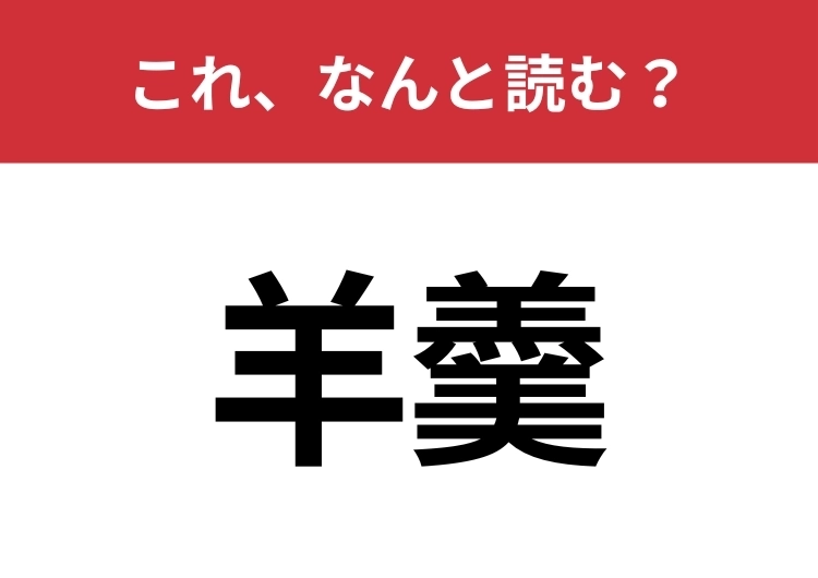 【羊羹】はなんと読む?お菓子の定番!のメイン画像