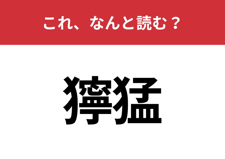 【獰猛】はなんと読む？動物の性格について使われることが多い言葉のメイン画像