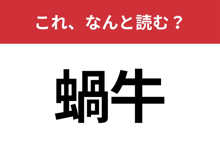 【蝸牛】はなんと読む？雨の日に見られるあの生き物！