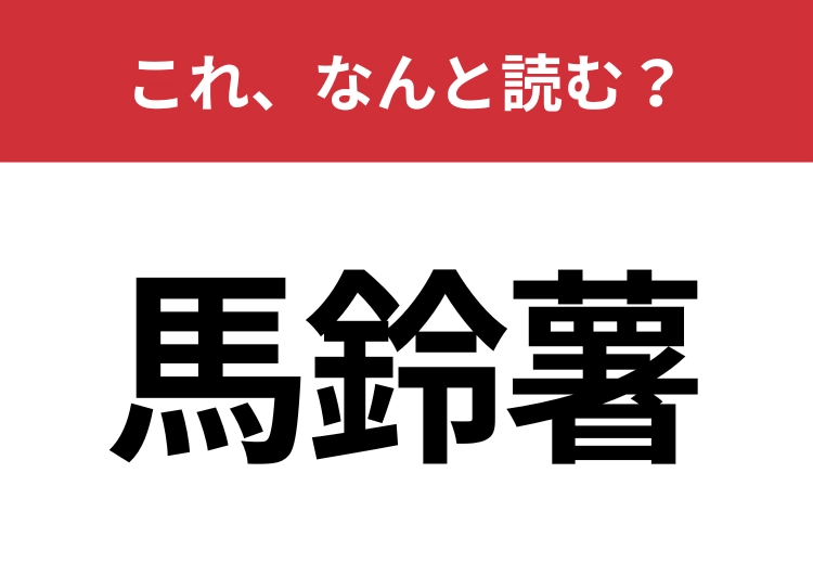 【馬鈴薯】はなんと読む？とっても身近なあの食材！のメイン画像