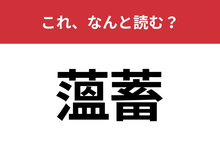 【薀蓄】はなんと読む？ひらがなで見ると馴染みのある言葉！