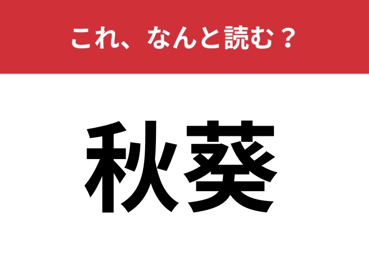 【秋葵】はなんと読む？ネバネバ食感が人気のあの野菜です！
