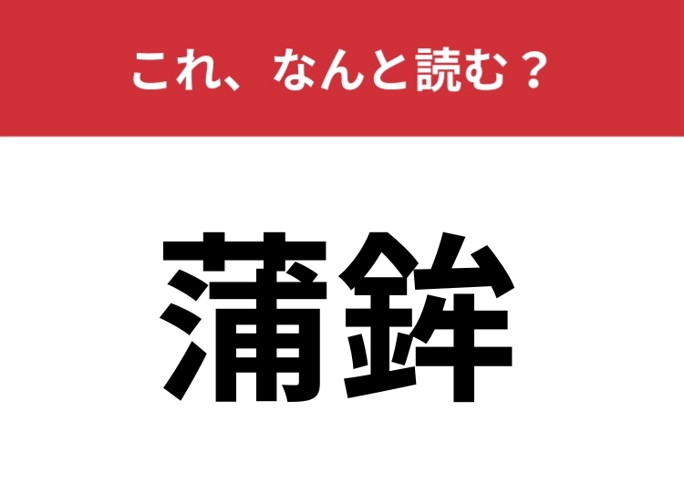 【蒲鉾】はなんと読む？今まできっと食べたことがある物！